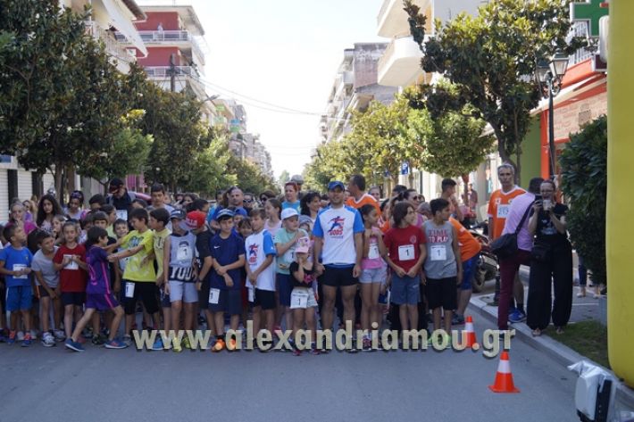 alexandriamou_1_alexandrinos_dromos114